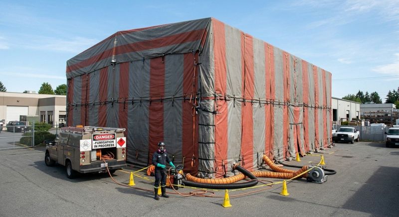 Commercial Fumigation in Wilmington, DE