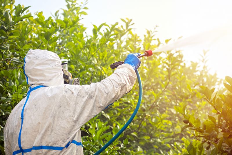 Fumigation Service in Naperville, IL