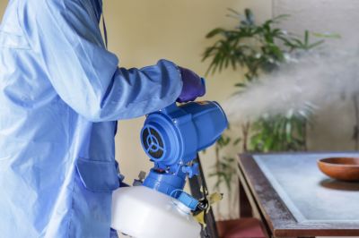 Fumigation Service in Wilmington, DE