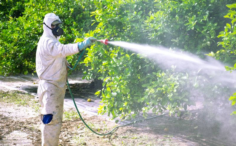 Residential Fumigation in Myrtle Beach, SC