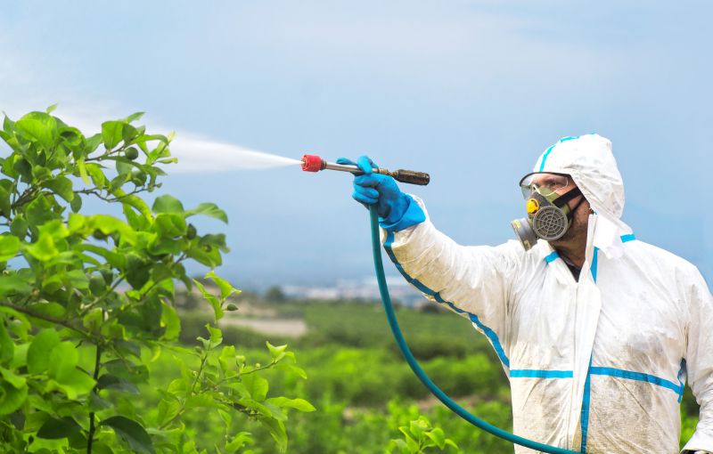 Roach Fumigation in Long Island, NY