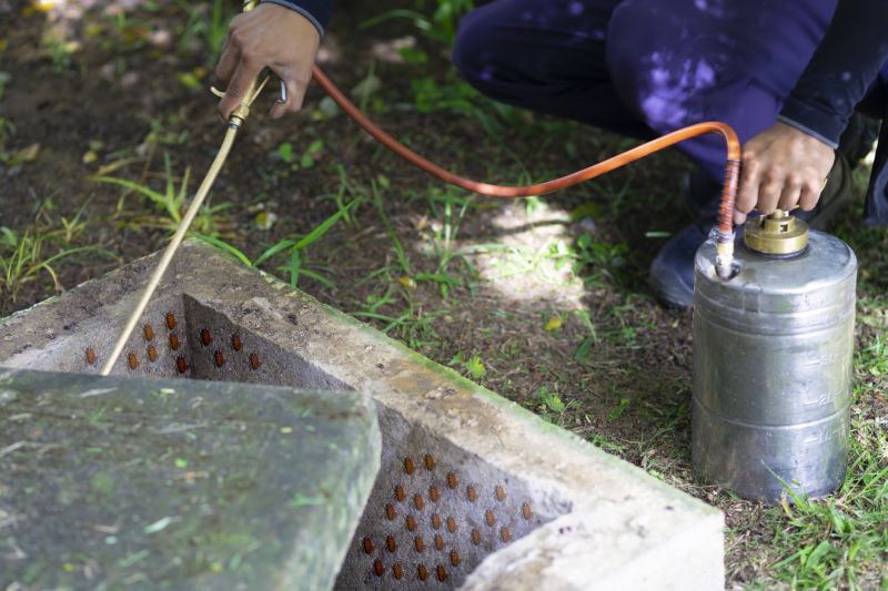 Roach Fumigation in Ann Arbor, MI