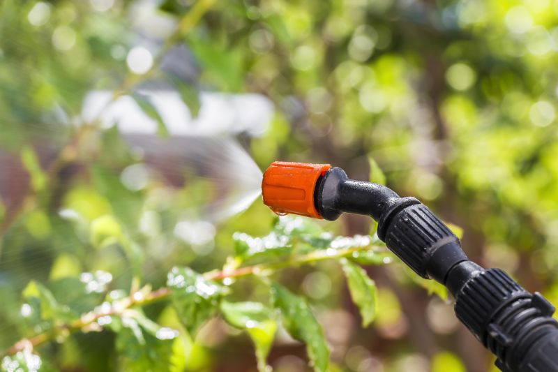 Insect Control Service in Frisco, TX