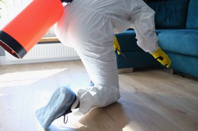 Pest Fumigation Service in Toledo, OH