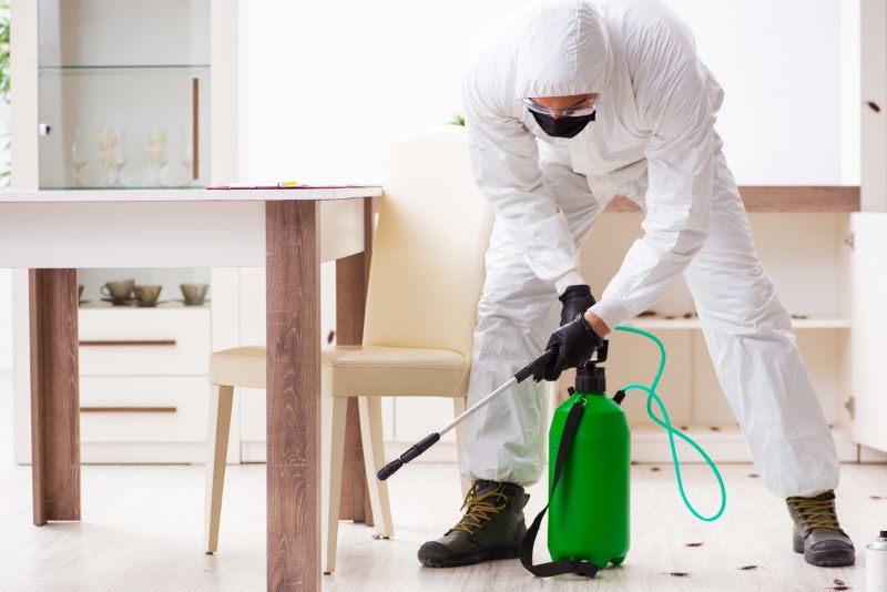 Residential Pest Control in Frisco, TX