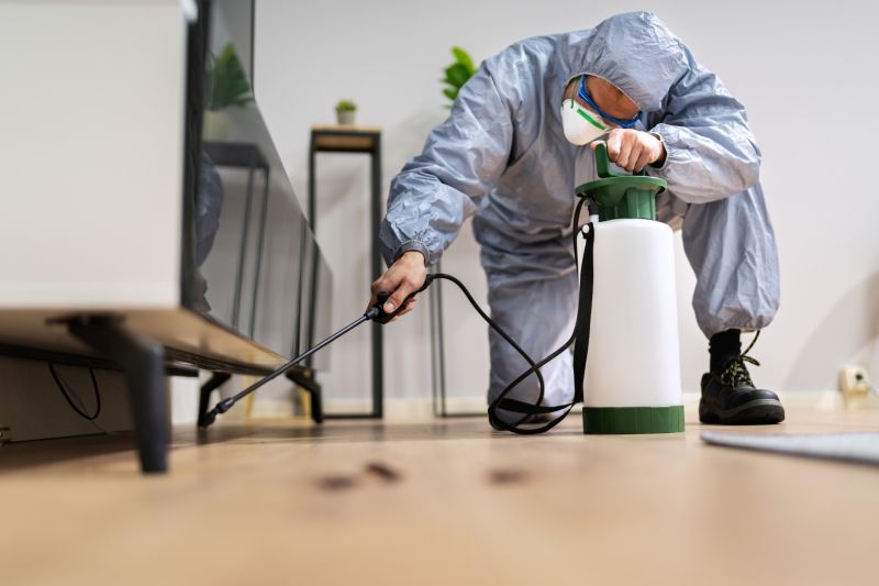 Roach Fumigation in Naperville, IL