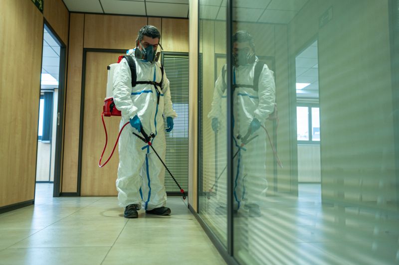 Roach Fumigation in Wilmington, DE
