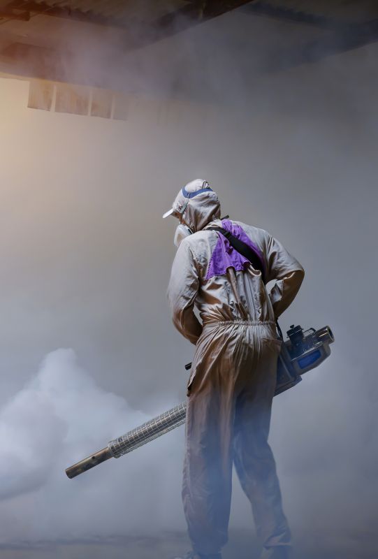Spider Fumigation Service in Phoenix, AZ