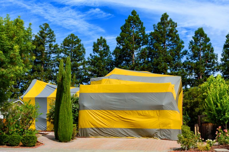 Termite Tenting in Woodbridge, VA